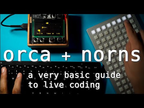 ambient talkie: ep 21 - watch me try to explain ORCA on NORNS