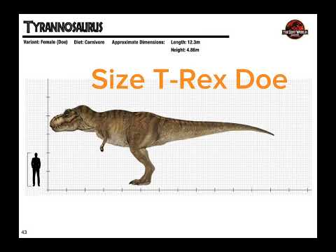 T-Rex Size in movie buck,doe,junior,rexy,Indominus rex,