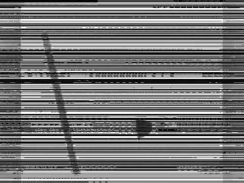 sanft ist unser kampf - peter cornelius.mp4