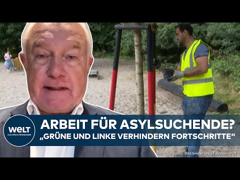 Video Thumbnail: DEUTSCHLAND: Arbeit als Integration? Kubicki feuert heftig gegen Linke, Grüne, Union und SPD