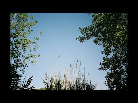 pressure - midwest emo/shoegaze instrumental [free]