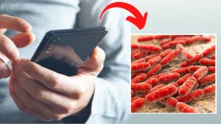 Deadly Phone Bacteria Exposed: The Invisible Threat!