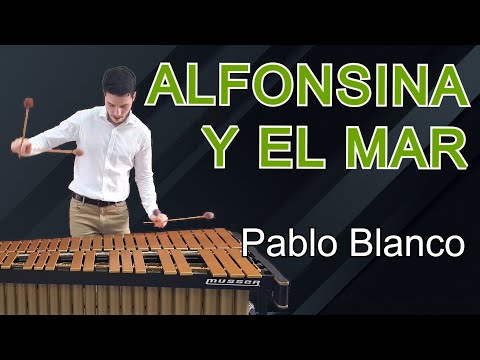 Alfonsina y el mar (Mercedes Sosa) // played by Pablo Blanco (Vibraphone)