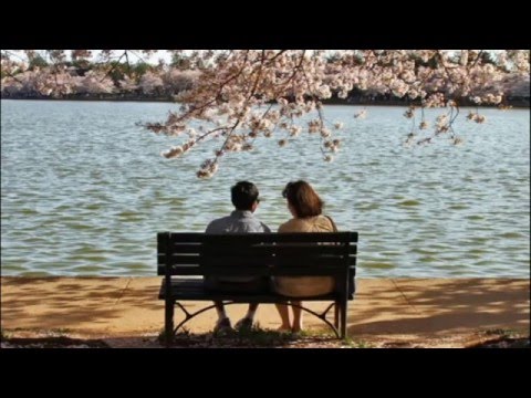 Formatia Volum Maxim-Colaj Valsuri