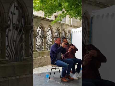 TYMEN KERVEILLANT PLUME DE PAON 2018