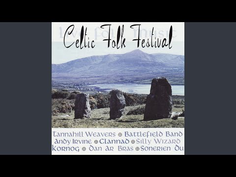 At The End Of A Pointed Gun - The Tannahill Weavers