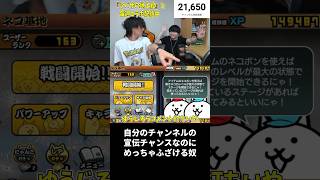 自分のチャンネルを宣伝するチャンスなのにめっちゃふざける奴 #shorts #にゃんこ大戦争 #ふたりでにゃんこ大戦争  #任天堂 #nintendo #nintendoswitch