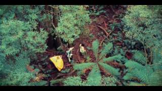 Little Birdy - Stay Wild