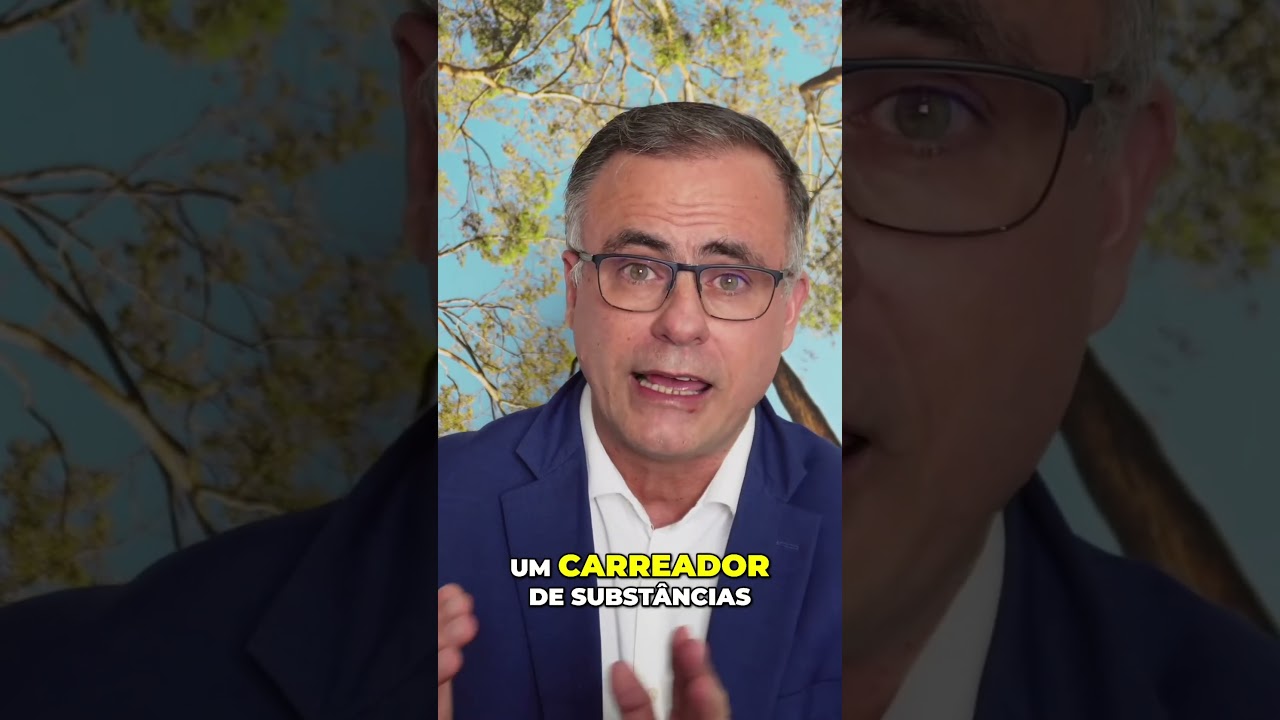 O poder do azeite de oliva extra virgem: Benefícios incríveis para a saúde