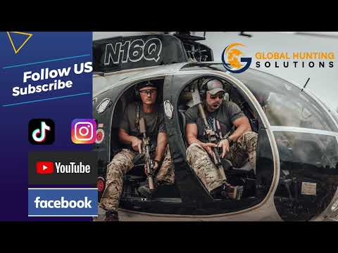Ultimate Texas Helicopter Hog Hunting:, Luxury Lodging, & Gourmet Chef | Global Hunting Solutions