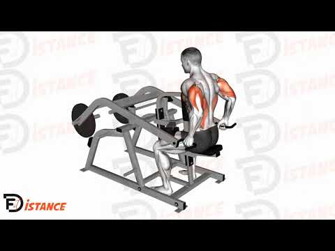 Dips à la machine poids libres - Exercice Dips à la machine poids libres en vidéo