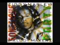 Ziggy Marley and the Melody Makers- Conscious Party