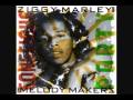 Ziggy Marley and the Melody Makers- Conscious ...