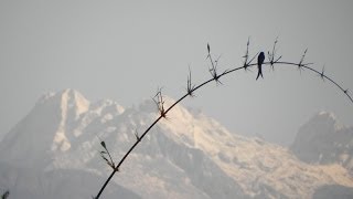 preview picture of video 'Himalaya Trip Highlights 2012'