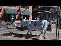 Nobody Knows You When You`re Down And Out - Don McLean : Downtown Denver on February 14, 2017