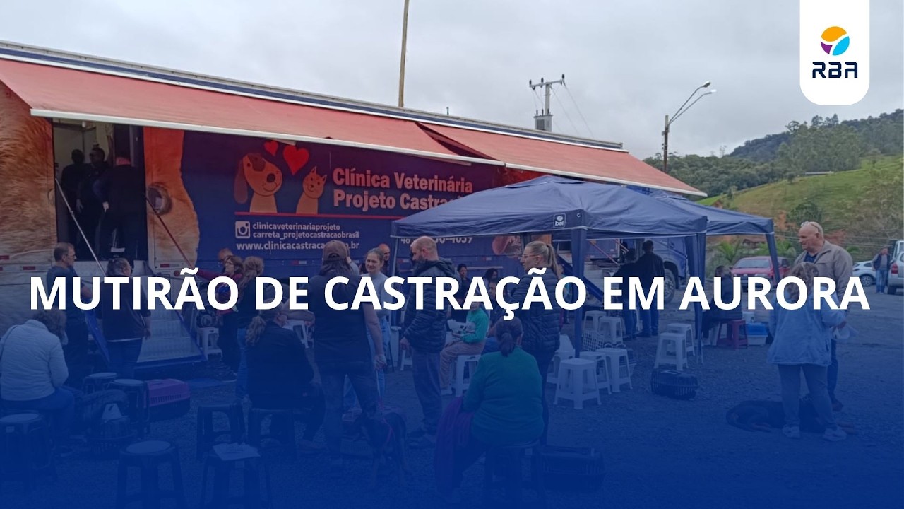 Mutirão de castração reúne moradores e reforça cuidado com animais em Aurora