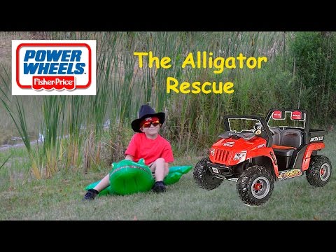 Little Heroes Pretend Play Story Learning About Alligators