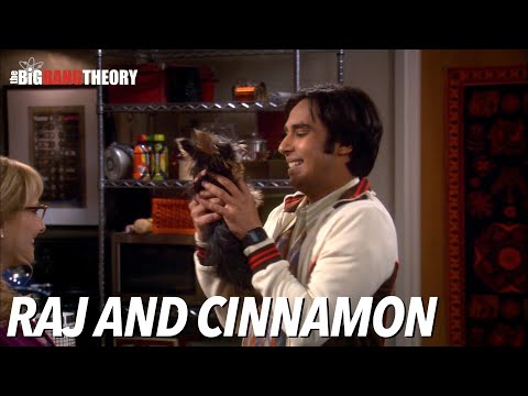 Raj and Cinnamon | The Big Bang Theory
