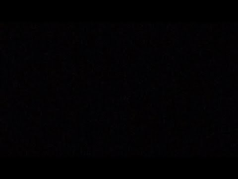 BirdGee74 - Slime or Get Slimed