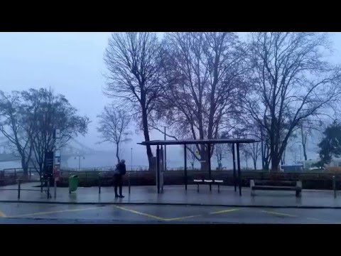 Budapest 109-es busz: Óbuda, Bogdáni út - Szent Gellért tér M