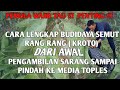 Cara Budidaya Kroto Atau Semut Rang Rang Untuk Pemula Versi Lengkap