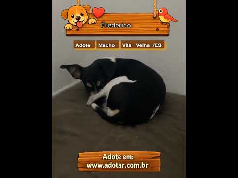 Vídeo de Frederico 