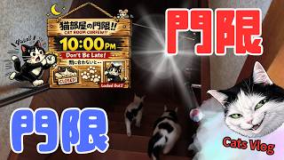 【CatsVlog】猫部屋クローズ「門限ですよ」 #猫動画 #可愛い猫 #保護猫
