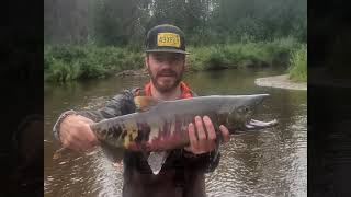 Roadside Fishing in Alaska