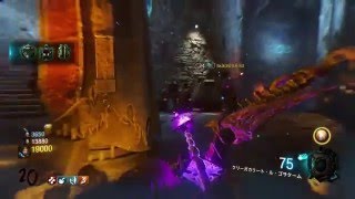 [CoD:BoⅢ]盾が○○に変わってた件について[バグ動画]