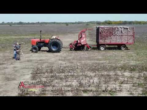 Cosecha del Cultivo de Algodón - Las Toscas Santa Fe - Sr.  Jorge Casali - segunda parte