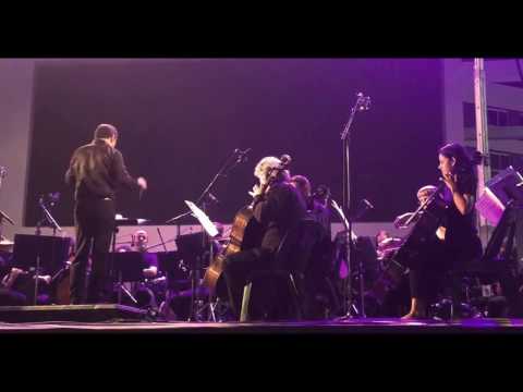 Liat itzhaki ליאת יצחקי  |  עץ הרימון-Etz Harimon