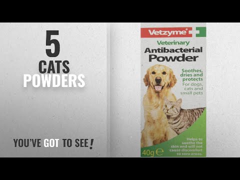 CBD for Cats Video Preview
