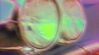 Brand New Car, The Rolling Stones.mov