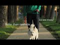 Видео о товаре Zogoflex Hurley игрушка для собак / West Paw (США)