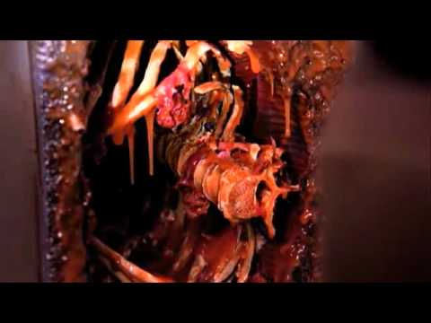 Bones - 6x07 - Behind the Bar