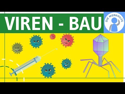 Viruses - Structure, symptoms, structure & characteristics simply explained - Genetics - Viral ge...