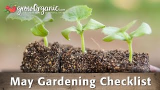 May Gardening Checklist: 19 Tips to Keep Your Organic Garden Healthy in May