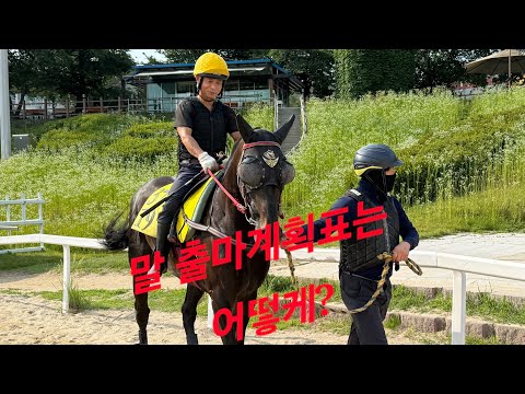 말 출전계획표는 어떻게 이루어지나?계획을 잘 해야