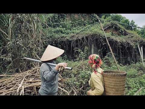 A Childless Woman’s New Life After Moving Into an Abandoned House - EP8