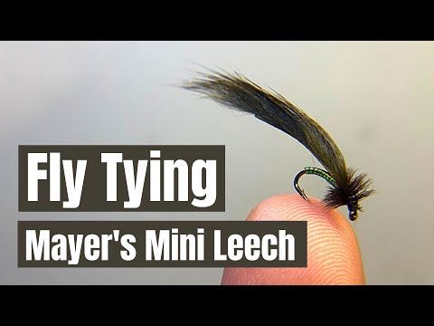 Fly Tying Tutorial - Mayers Mini Leech #flytying #flyfishing