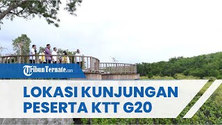 Mengenal Taman Hutan Raya Ngurah Rai di Bali, sebagai Lokasi Kunjungan Peserta KTT G20
