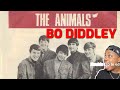 THE ANIMALS - STORY OF BO DIDDLEY | REACTION