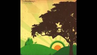 Slow Down - The Academy Is...