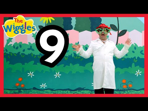 Dr Knickerbocker Number 9 ???? Counting Nursery Rhyme for Toddlers ???? The Wiggles