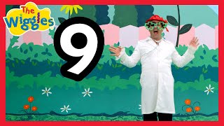 The Wiggles Nursery Rhymes - Dr Knickerbocker