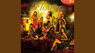 Nettaigyo No Namida (Instrumental)