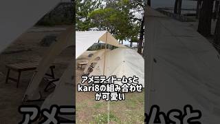 【ソロキャンプ】ナチュラルなソロ用レイアウト試し張り #キャンプ #アウトドア #camping #ソロキャンプ #デイキャンプ #shorts #キャンプ好きな人と繋がりたい