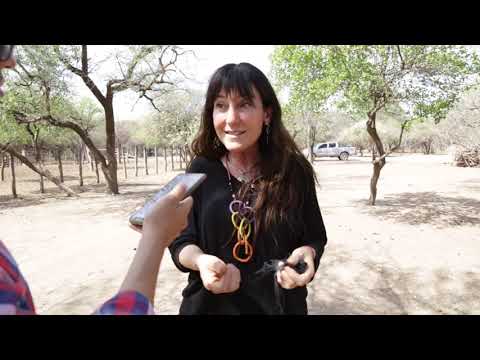 En el Chaco salteño se desarrolló un sistema comunitario de recolección de agua