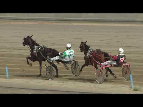 VII Corsa - Premio Rondine - 26 Maggio 2021