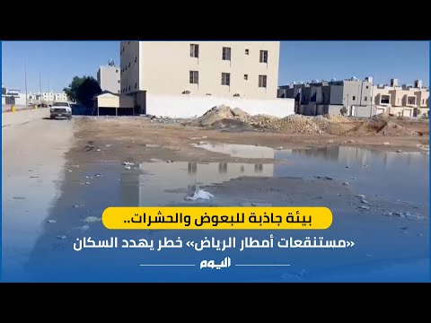 بيئة جاذبة للبعوض والحشرات.. «مستنقعات أمطار الرياض» خطر يهدد السكان